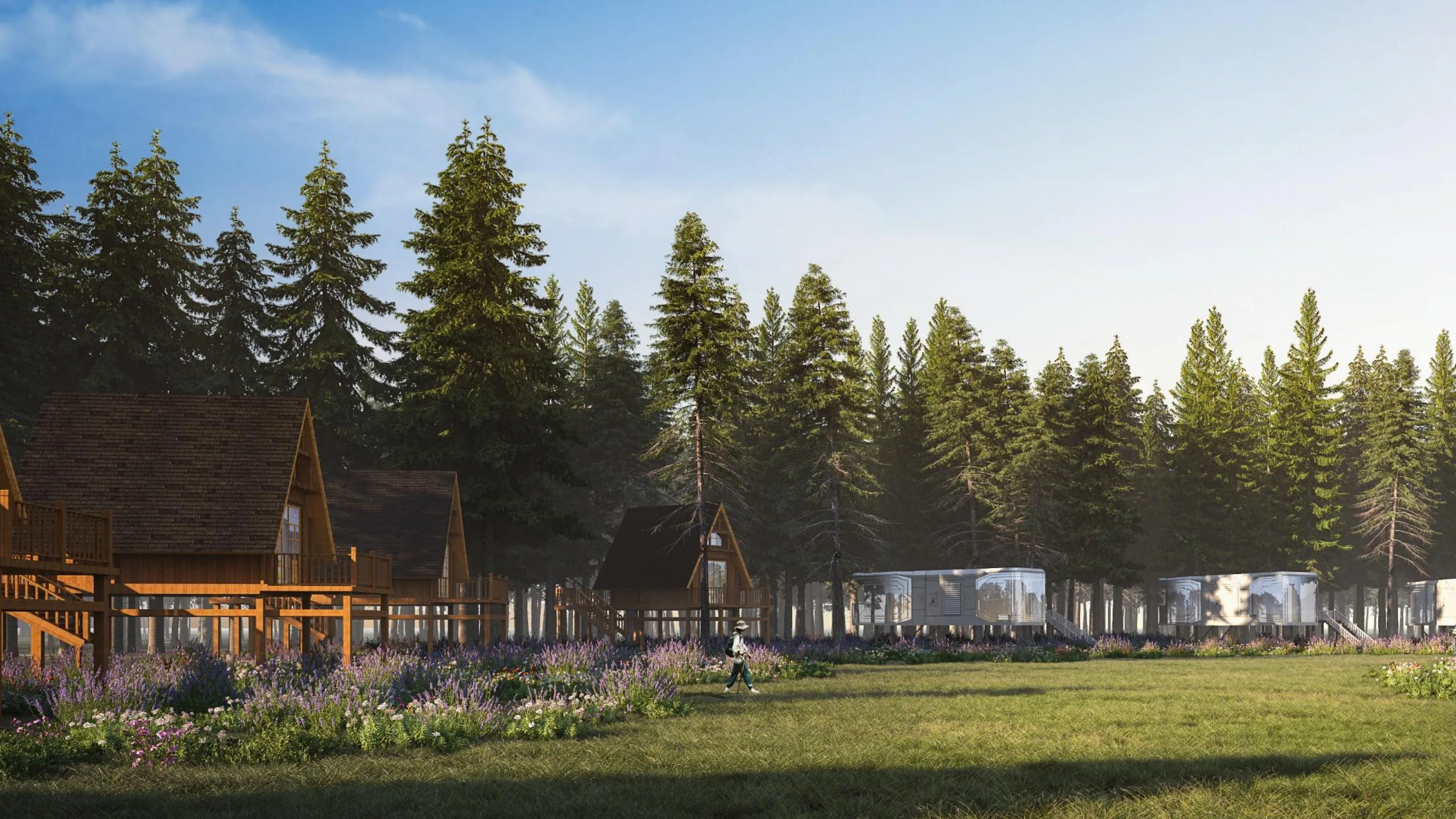 Cabins and capsule accommodation arranged around a shared forest landscape