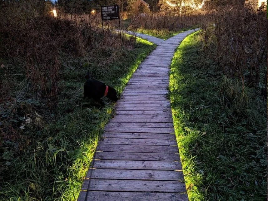 Illuminated timber walkway guiding guests through a forest resort after dark