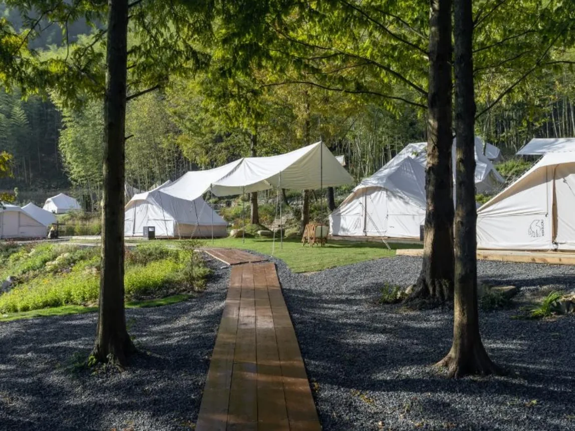 Light-touch timber walkway connecting accommodation areas beneath mature trees