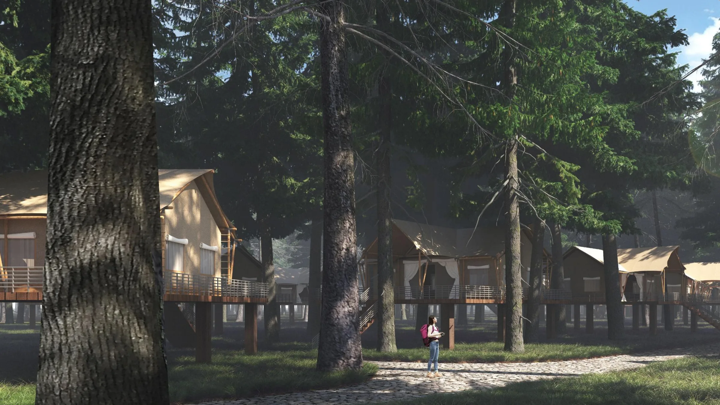Forest accommodation with private terraces, guest paths and outdoor surroundings