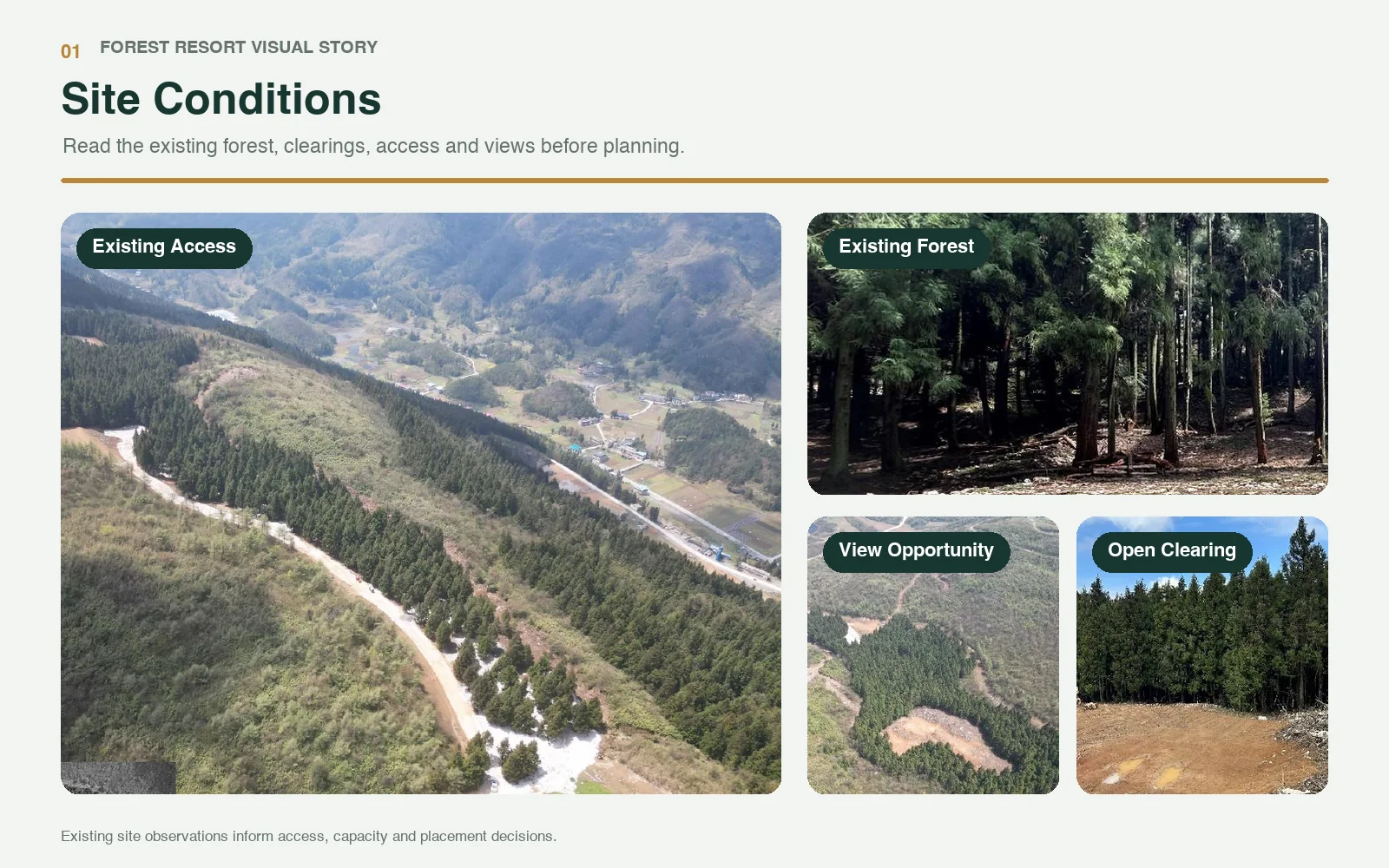 Existing forest, access, open areas and view opportunities considered before forest resort planning