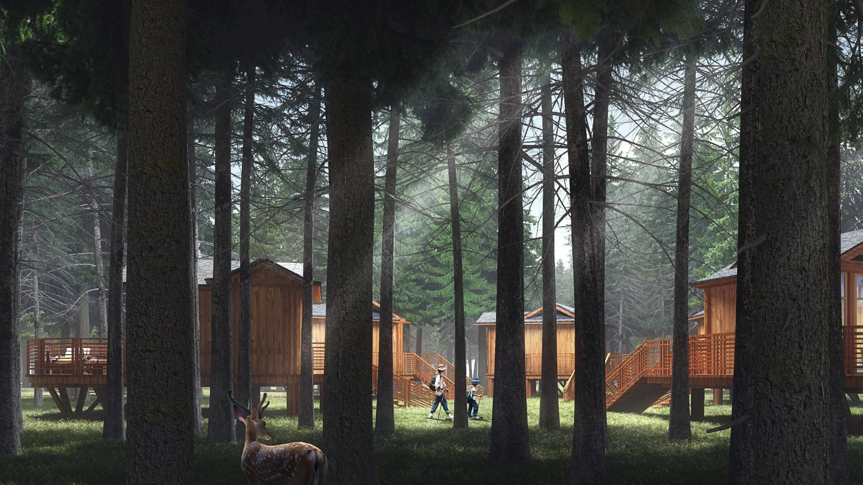 Timber cabins with raised decks and walking paths beneath mature forest trees